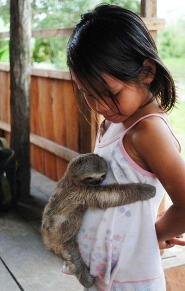 19 Of The Most Heartwarming Animal Moments Ever