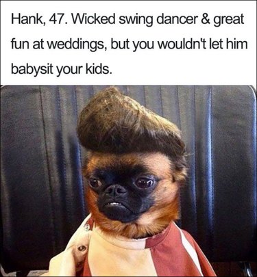 23 ridiculously funny dog bios