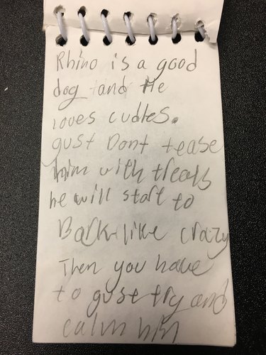 Good Boy Re-Homed After He Was Left Behind With A Touching Note