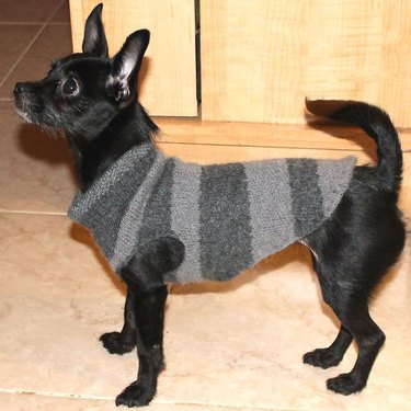 Dog sweater DIY