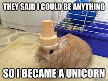 Just 20 Of The Most Ridiculous Unicorn Memes We've Ever Seen