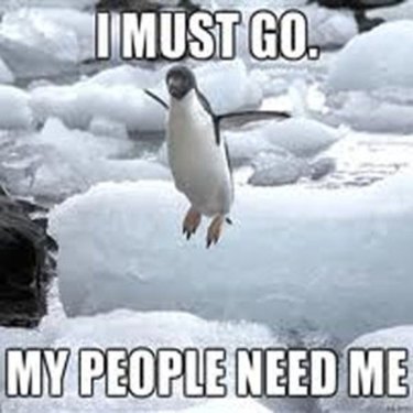 24 Memes That Prove Penguins Are The Funniest Animals On Earth