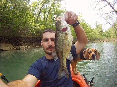 dog photobombs man on boat catching fish