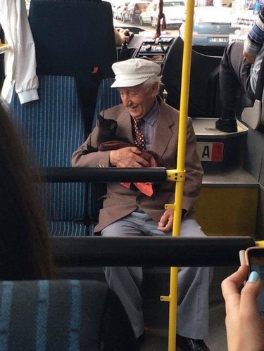 Dapper man riding bus in Istanbul with black kitten makes internet smile