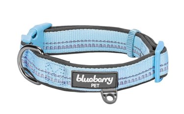 Blueberry Pet blue dog collar