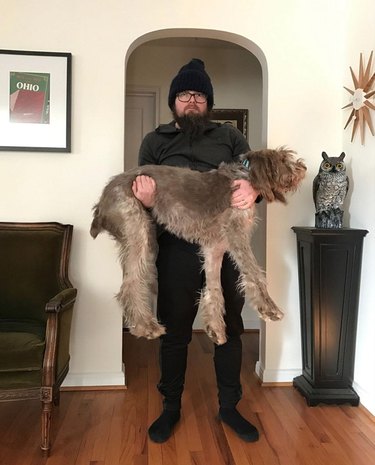 Never skip leg day again with r/doglifting