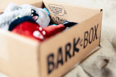 12 Days of Christmas Gifts to Celebrate Your Pet's First Holiday