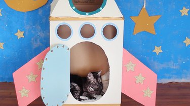 Cat laying inside cardboard rocket ship