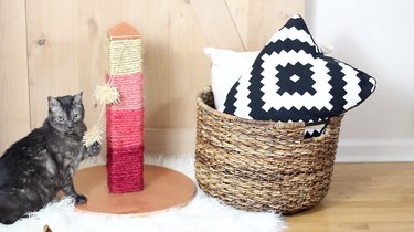 cat playing with ombre scratching post