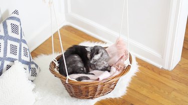 How To Turn A Laundry Basket Into A Hanging Cat Bed