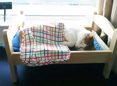 Ikea donates doll beds to Canadian cat shelter