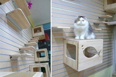 The Coolest Cat Furniture Ever