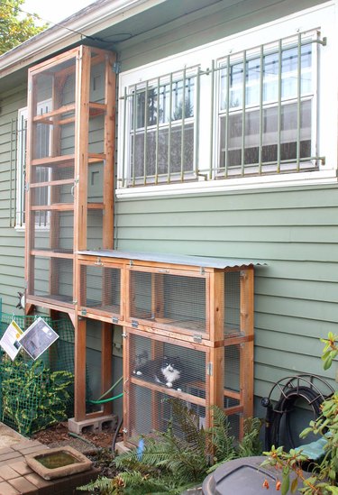 I Can Has Catio: 4 Things We Learned About The Hottest Cat Accessory Of ...