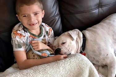 Deaf Rescue Dog and Special Needs Boy Become BFF