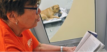 Reading Aloud Helps Dogs Recover From Trauma