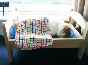 Cat sleeps in doll bed donated to shelter by Ikea