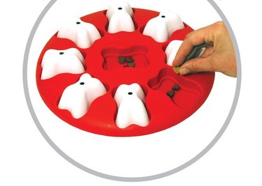 Interactive Puzzle Toy
