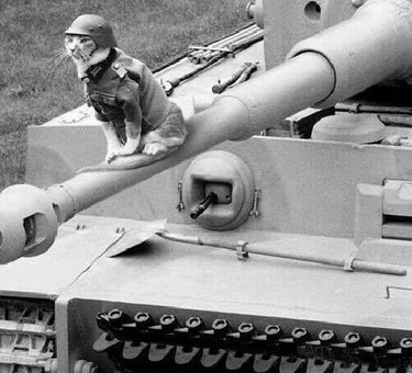 Black and white photo of a cat wearing an army uniform and sitting on a tank.