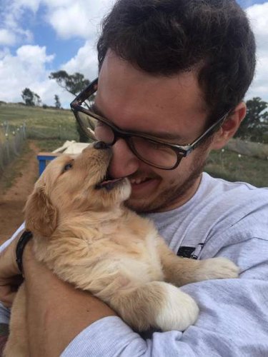 Only click on this gallery of dogs meeting their humans if you want to happy cry