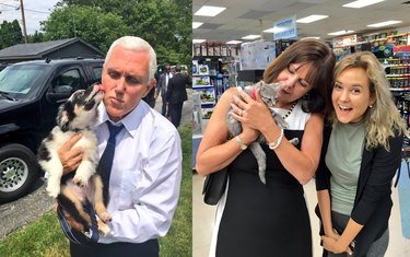 Vice President Pence gifted with new puppy and kitten for Father's Day