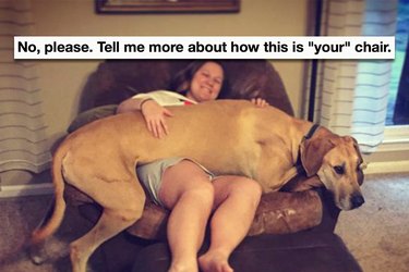 things you'll understand if you have a big dog