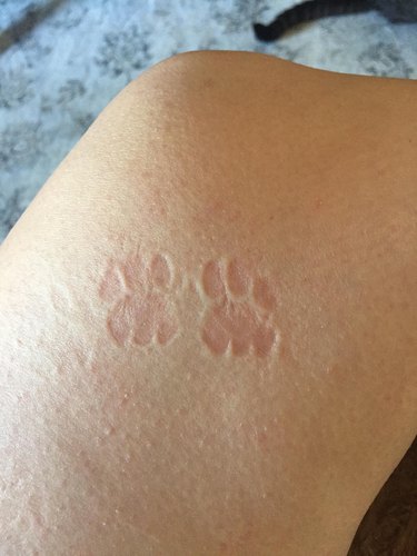 Cat paw prints on person's leg