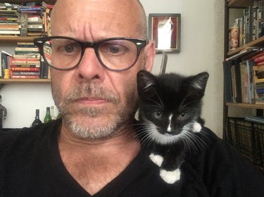Alton Brown names new kitten "Stir-Fry"