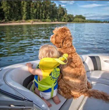 Reagan and Little Buddy on a boat