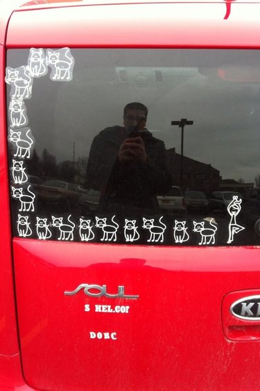 Picture of a car window decorated with cat stickers
