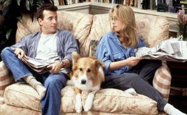 Which sitcom pet are you based on your zodiac