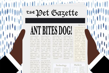 Illustration of a newspaper with the headline "Ant Bites Dog!"