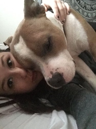 This cuddly pit bull's love for his mom will warm your heart.