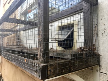I Can Has Catio: 5 Things We Learned About The Hottest Cat Accessory Of 2017