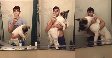 man with his dog growing up in 3 pictures