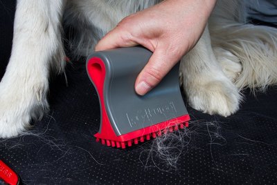 Cuteness Picks: 7 Essential Cleaning Products For Pet Parents