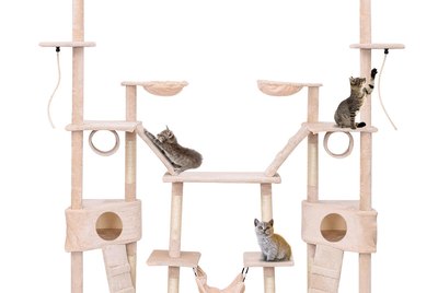 5 Amazing Cat Trees For Every Cat's Climbing Needs