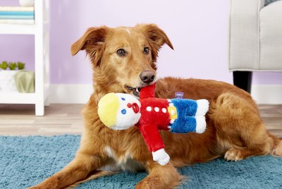 Cuteness Picks: 7 Killer Deals You Need To Know About