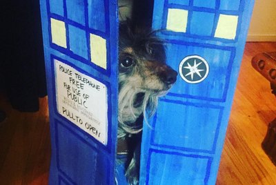 111 Sci-Fi Names For Your Dog