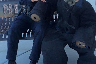 17 Hardworking Canine Units