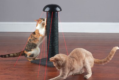 Cuteness Picks: The 7 Pet Products We're Coveting This Week