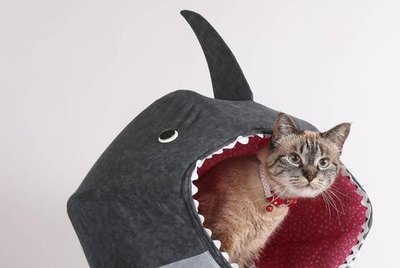 Cuteness Picks: The 7 Pet Products We're Throwing Money At This Week