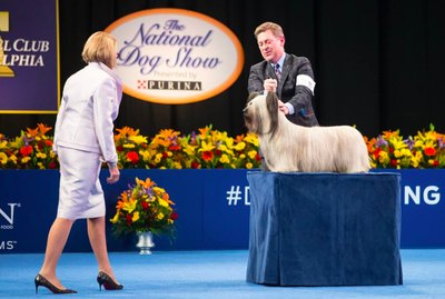 What to Get Excited For at This Year's National Dog Show