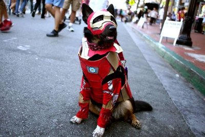 134 Comic Book Character Names for Dogs