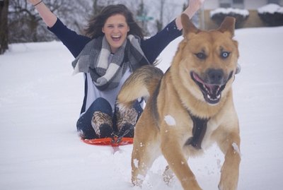 20 Dogs Who Love Snow So Flipping Much