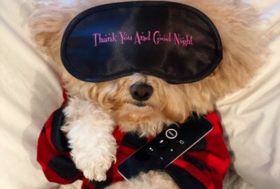 15 Dogs Practicing Self Care