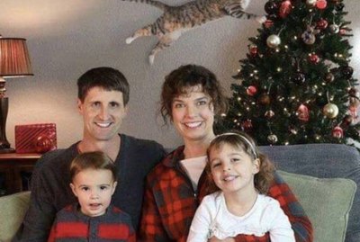 19 Cats Vs Christmas Tree Memes That All Cat Owners Can Relate To