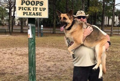 The 21 Funniest Dog Videos, Pictures & GIFs of 2018