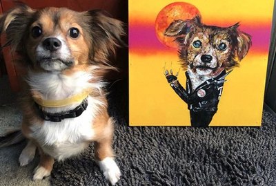 15 Dogs and Their Majestic Portraits