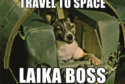 144 Space Names For Dogs