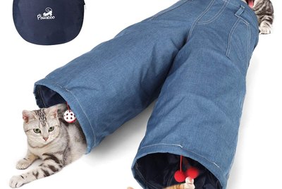 Cuteness Picks: 7 Pet Products You Had No Idea Were Even A Thing